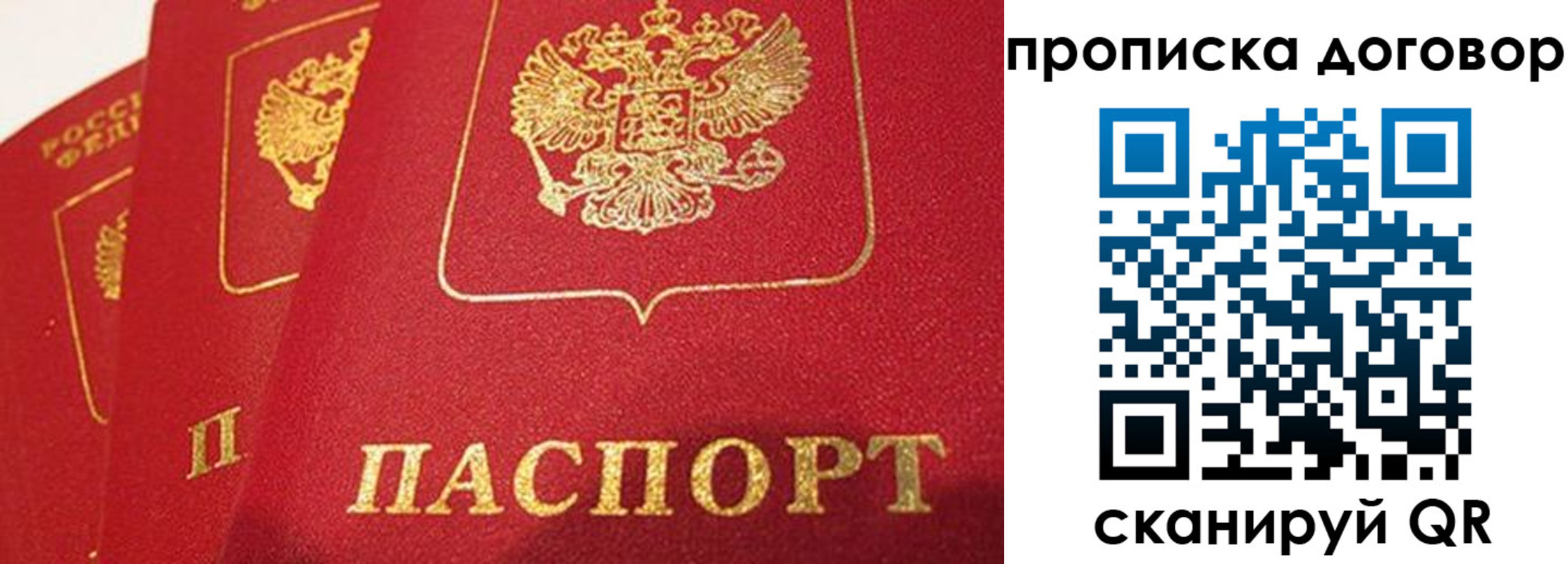 найти адрес прописки в Суздали